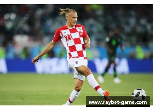 克罗地亚球员处罚：规则严明下的责任与教训