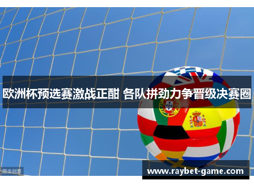 欧洲杯预选赛激战正酣 各队拼劲力争晋级决赛圈